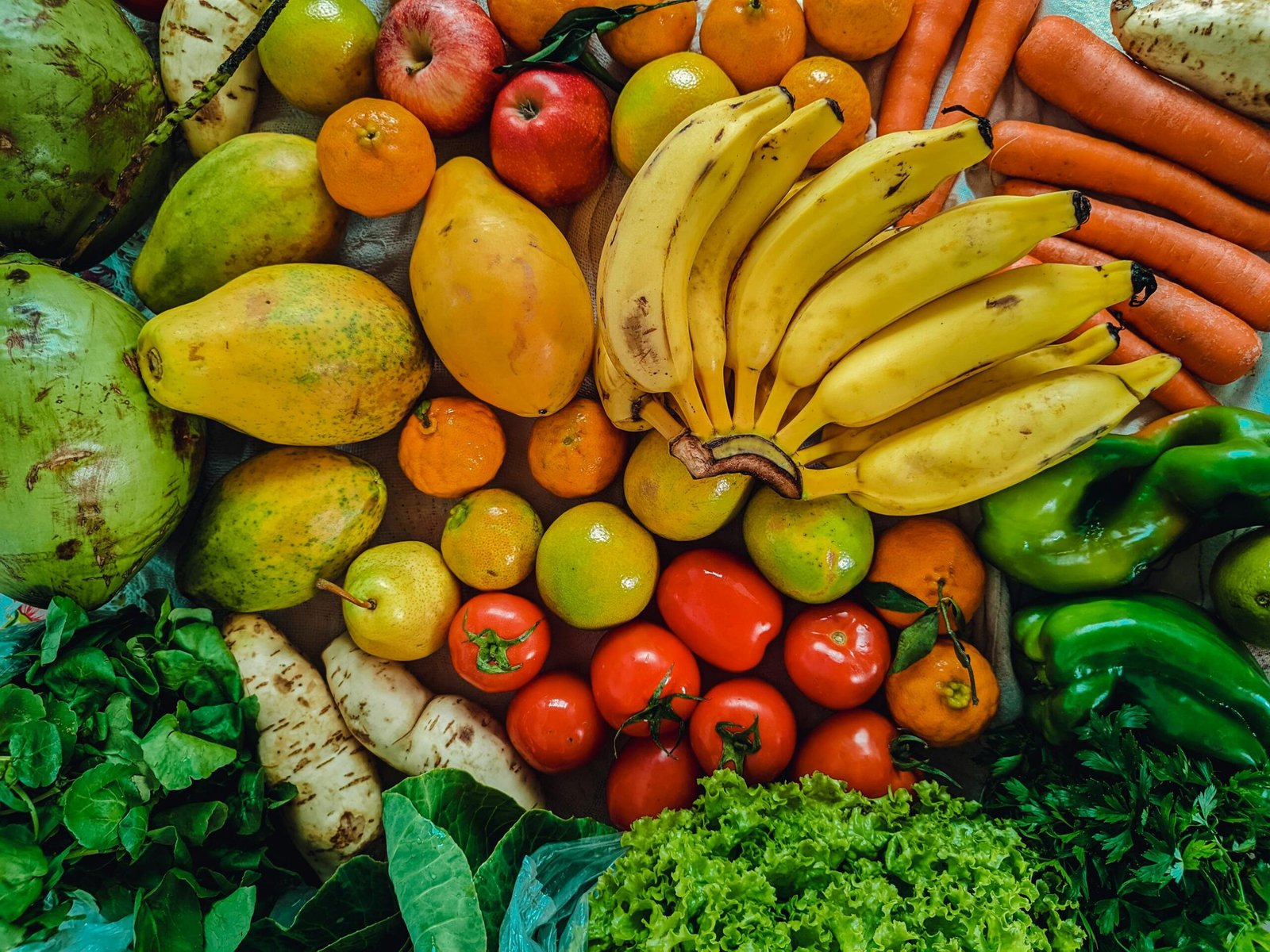 Los alimentos y nuestro día a día